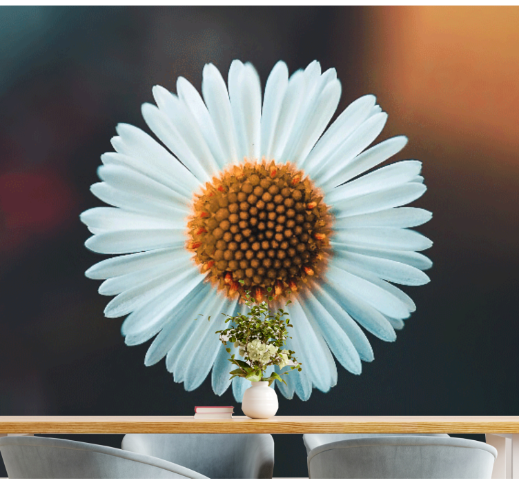 Single daisy nature wall mural - TenStickers