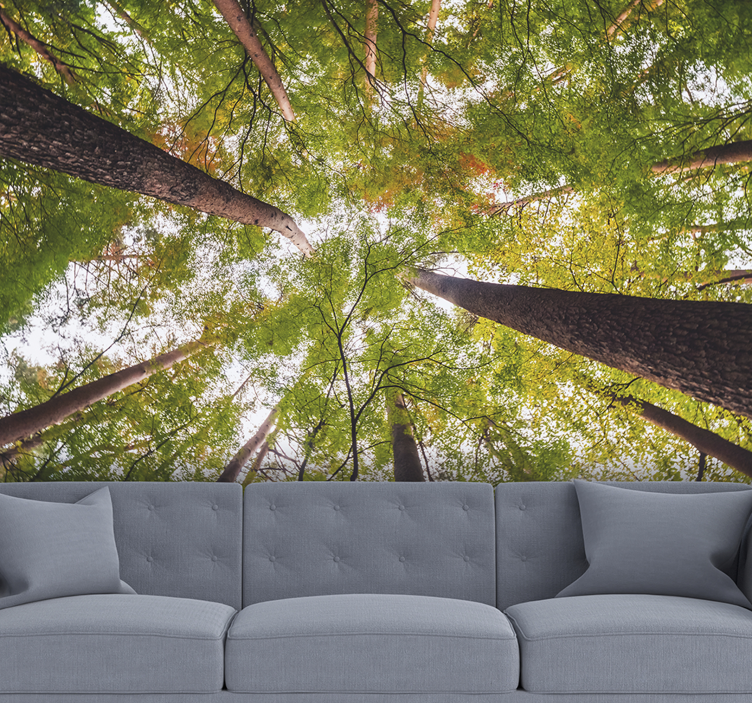 Towering Green Canopy nature wall mural - TenStickers