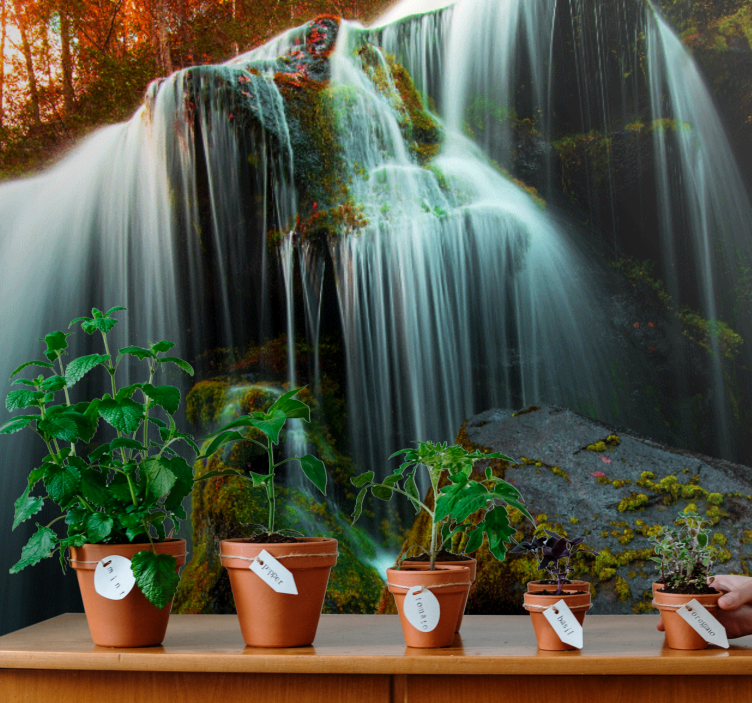 Waterfall wall mural gentle falling water - TenStickers