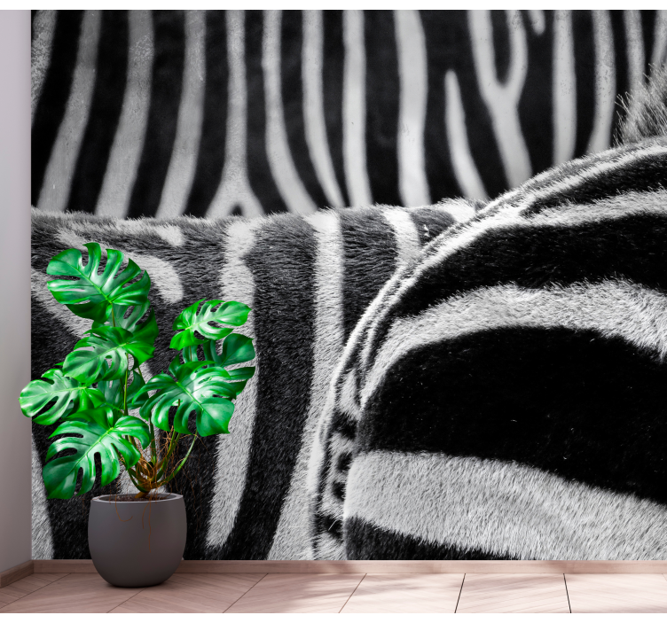 Zebra horses photo wall mural - TenStickers