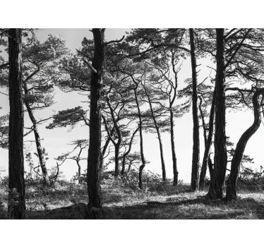 Ink pine forest forest wall mural - TenStickers