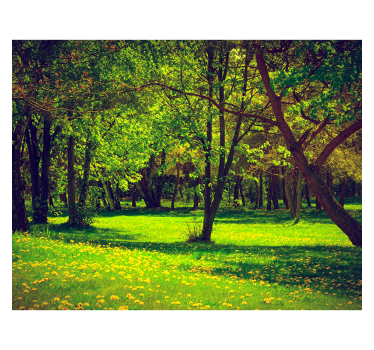Beautiful spring forest landscape wall mural - TenStickers