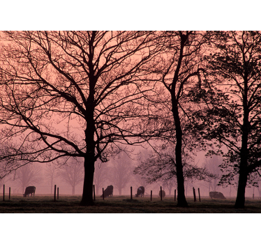 Cow's pasture in fog landscape wall mural - TenStickers