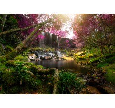 Wild jungle with waterfall  Forest mural - TenStickers