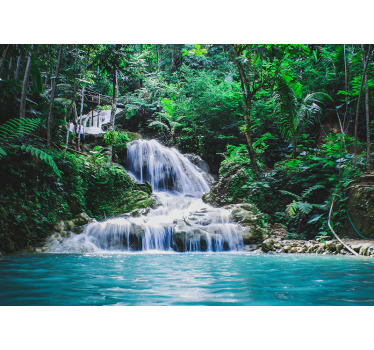 Escape to a tropical rainforest landscape wall mural - TenStickers