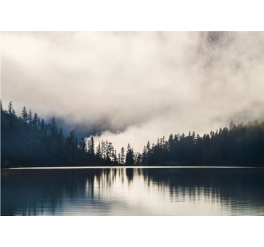 Trees and reflections on water landscape murals - TenStickers