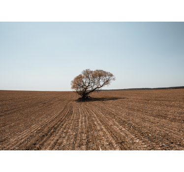 Nature wall mural lonely tree landscape - TenStickers