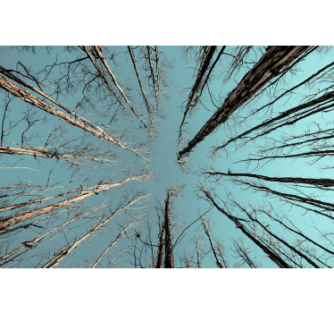 Tree mural of trees reaching the sky - TenStickers