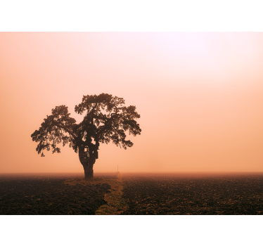 Majestic savannah tree africa wall mural - TenStickers