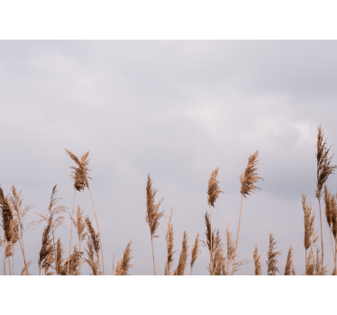Tree mural tall grass silhouettes - TenStickers
