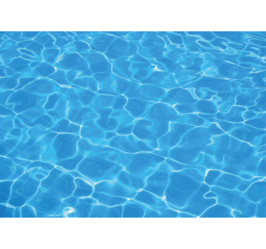 Sea animals wall mural clear water surface - TenStickers