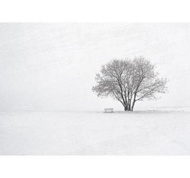 Scandinavian style Winter forest tree wall mural - TenStickers