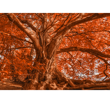 Tree mural majestic autumn tree - TenStickers
