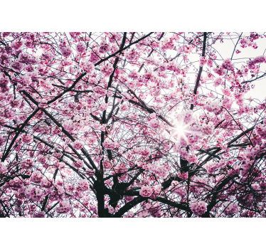 cherry blossom tree mural - TenStickers