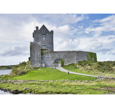 Old irish dunguaire castle Wall Murals for Bedrooms - TenStickers