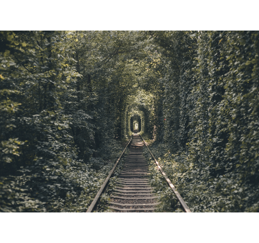Railway tunnel of trees forest photo wallpaper - TenStickers