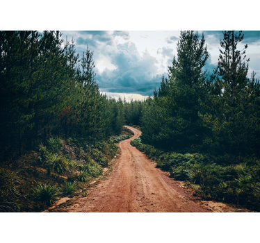 3D path in green forest 3d mural wallpaper - TenStickers