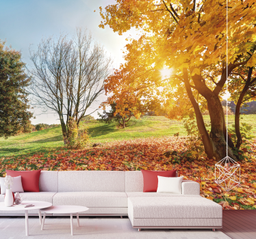 Autumnal morning forest wall mural - TenStickers