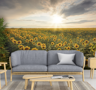Endless field of blooming sunflowers meadow wall mural - TenStickers