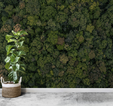 Forest photo  landscape wall mural - TenStickers