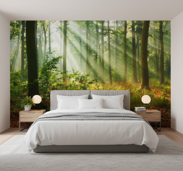 Forest wall mural natural light in forest - TenStickers