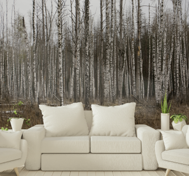 Grey birch forest landscape wall mural - TenStickers