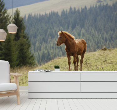 Horse in the forest mural wallpaper - TenStickers