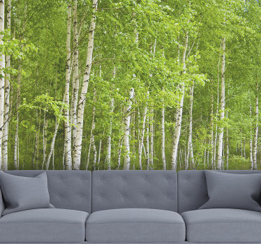 Landscape wall mural birch tree - TenStickers