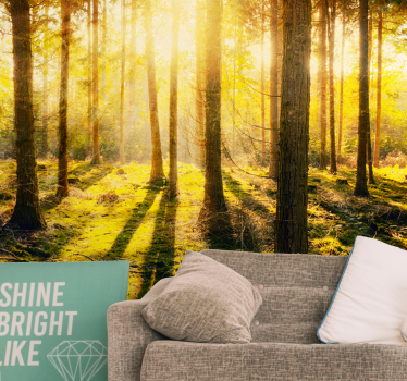 Nature wall mural sun-drenched woodland scene - TenStickers