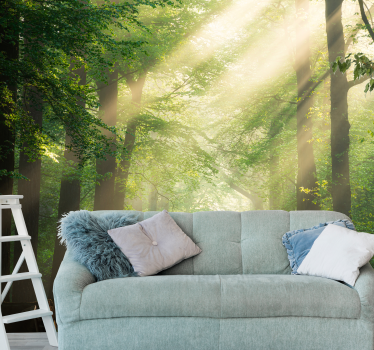 Nature wall mural sunlight through forest trees - TenStickers