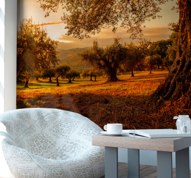 Olive trees landscape wall mural - TenStickers