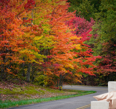 Road with red trees tree wall mural - TenStickers