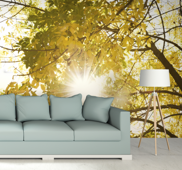 Sunlight glimpsing through a tree Forest Wall Mural - TenStickers