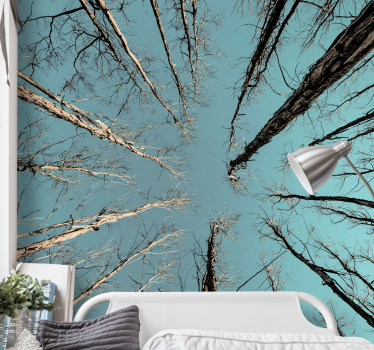 Tree mural of trees reaching the sky - TenStickers
