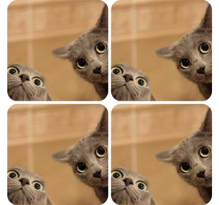 Cute Cats modern coaster set - TenStickers