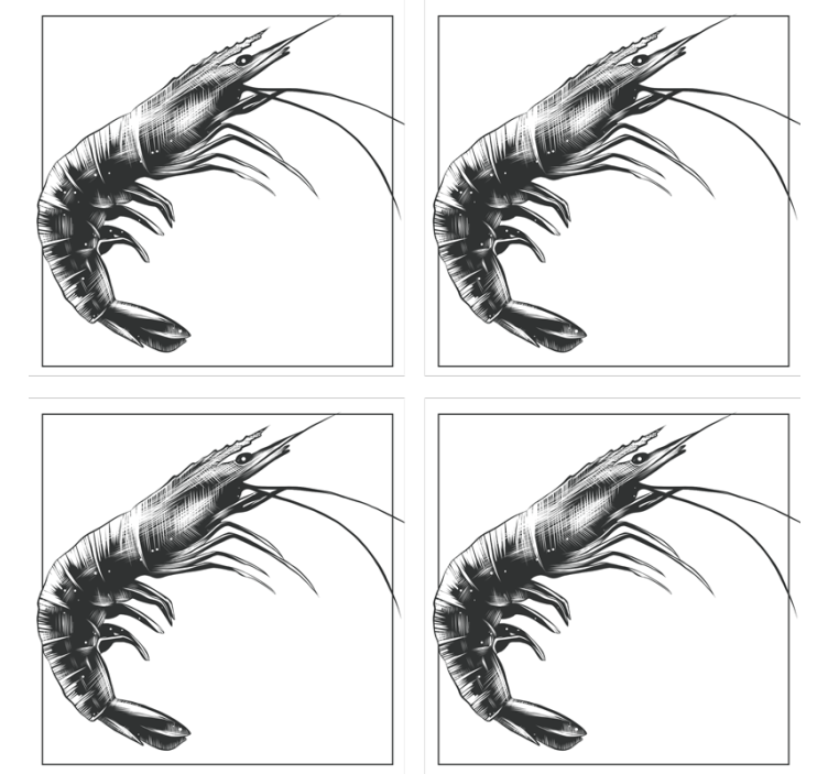 Modern coasters with stylized shrimp design - TenStickers