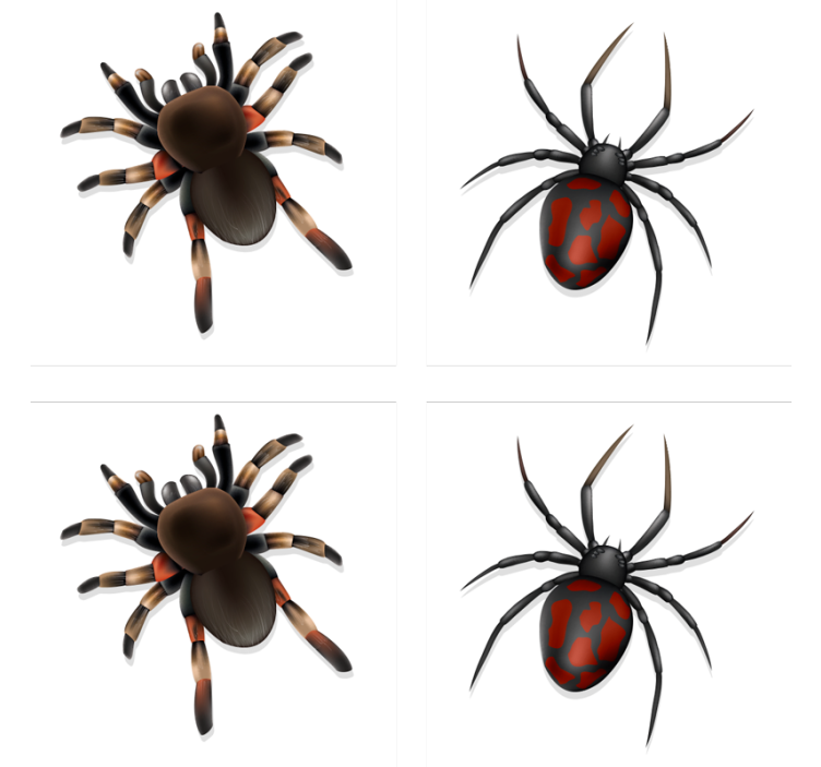 Realistic Spider halloween coaster - TenStickers