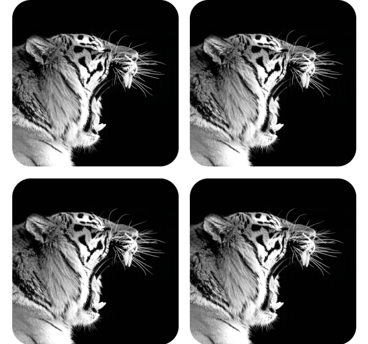 Geek coasters majestic tiger design - TenStickers