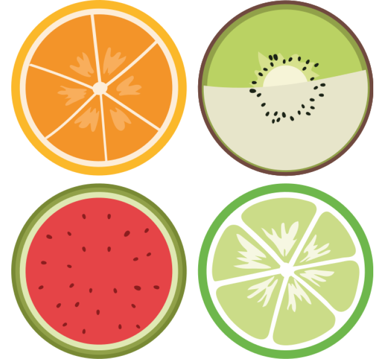 Modern coasters citrus fruit slices design - TenStickers