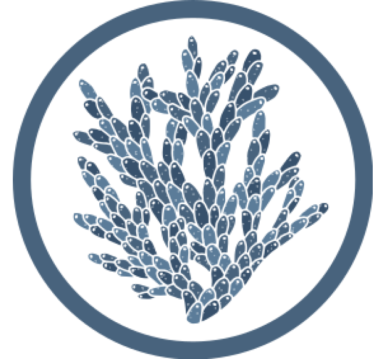 Coasters with abstract coral design - TenStickers