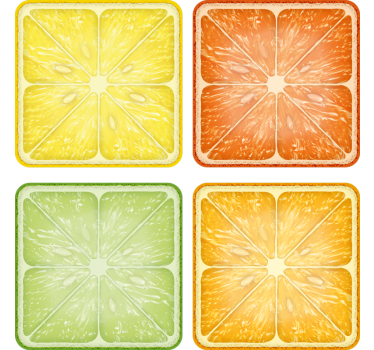 Citrus slice minima coasters - TenStickers