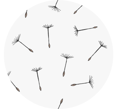 Coasters with delicate seed design - TenStickers