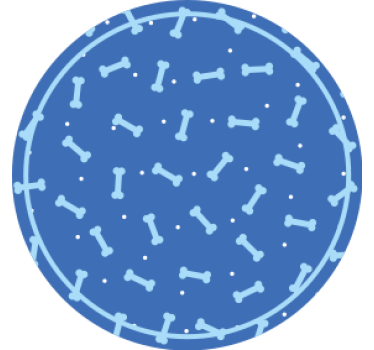 Bone pattern circle coasters - TenStickers