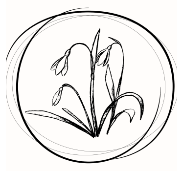 Coasters elegant floral sketch - TenStickers