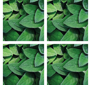 Vibrant green leaf motif coasters - TenStickers