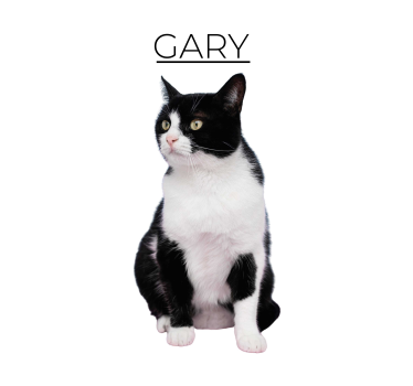 Personalised minimalist cat poster - TenStickers