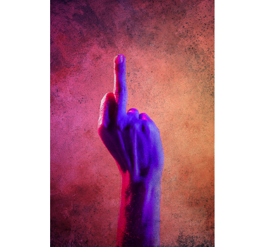 Poster for teenager youth f*ck you - TenStickers