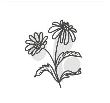 Living room poster of daisy flowers line art design - TenStickers