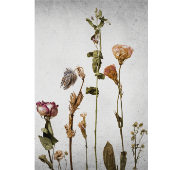 Flowers poster dried flower arrangement art print - TenStickers