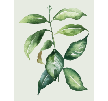 Flowers poster featuring lime palm leaf design - TenStickers